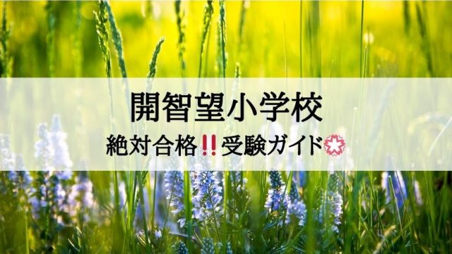 開智望小学校_受験ガイド2027年度対応